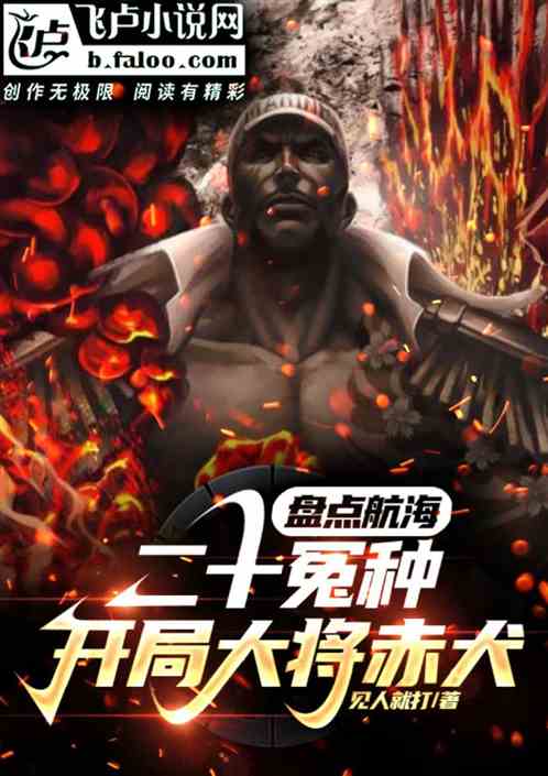 Taking stock of the twenty biggest enemies of navigation, starting with Akainu