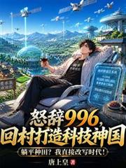 He angrily resigned from his 996 work schedule and returned to his village to build a technological